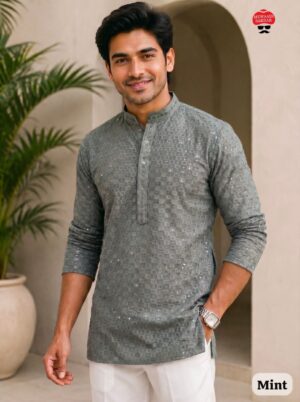 Chikankari Short Kurta - Image 7