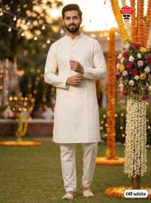 Party Wear Kurta Set - Image 8