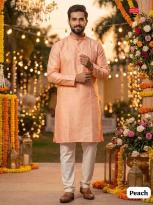 Party Wear Kurta Set - Image 4