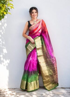 Organza Saree - Image 15