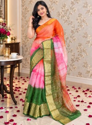 Organza Saree - Image 7