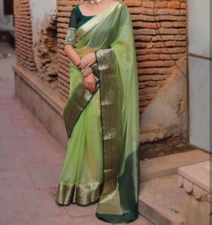 Organza Saree - Image 19