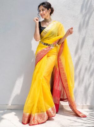 Organza Saree - Image 4