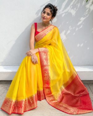 Organza Saree - Image 12